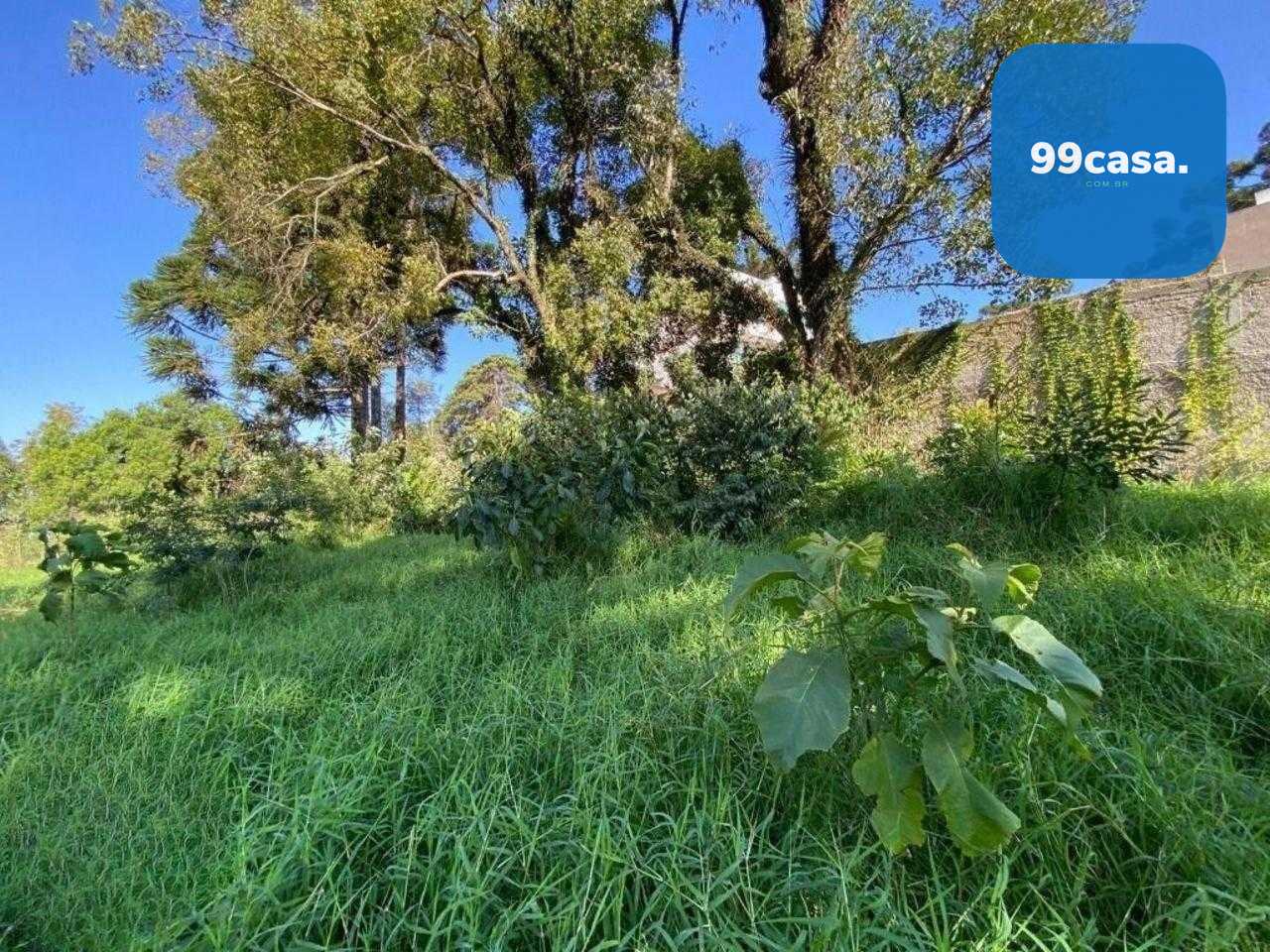 Excelente Terreno à venda,  ZR4, para construção de  prédio  B...