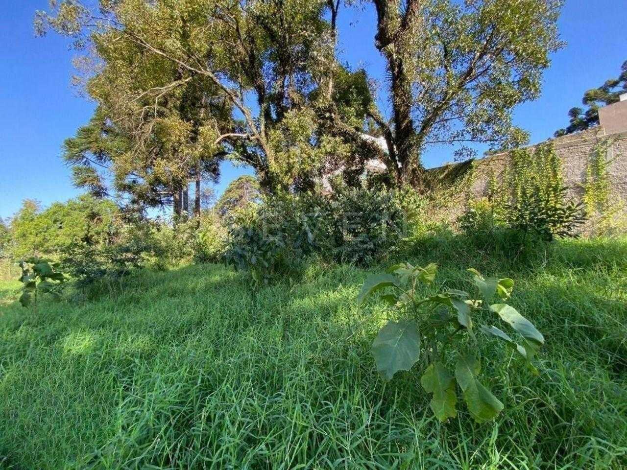 Excelente Terreno à venda,  ZR4, para construção de  prédio  B...