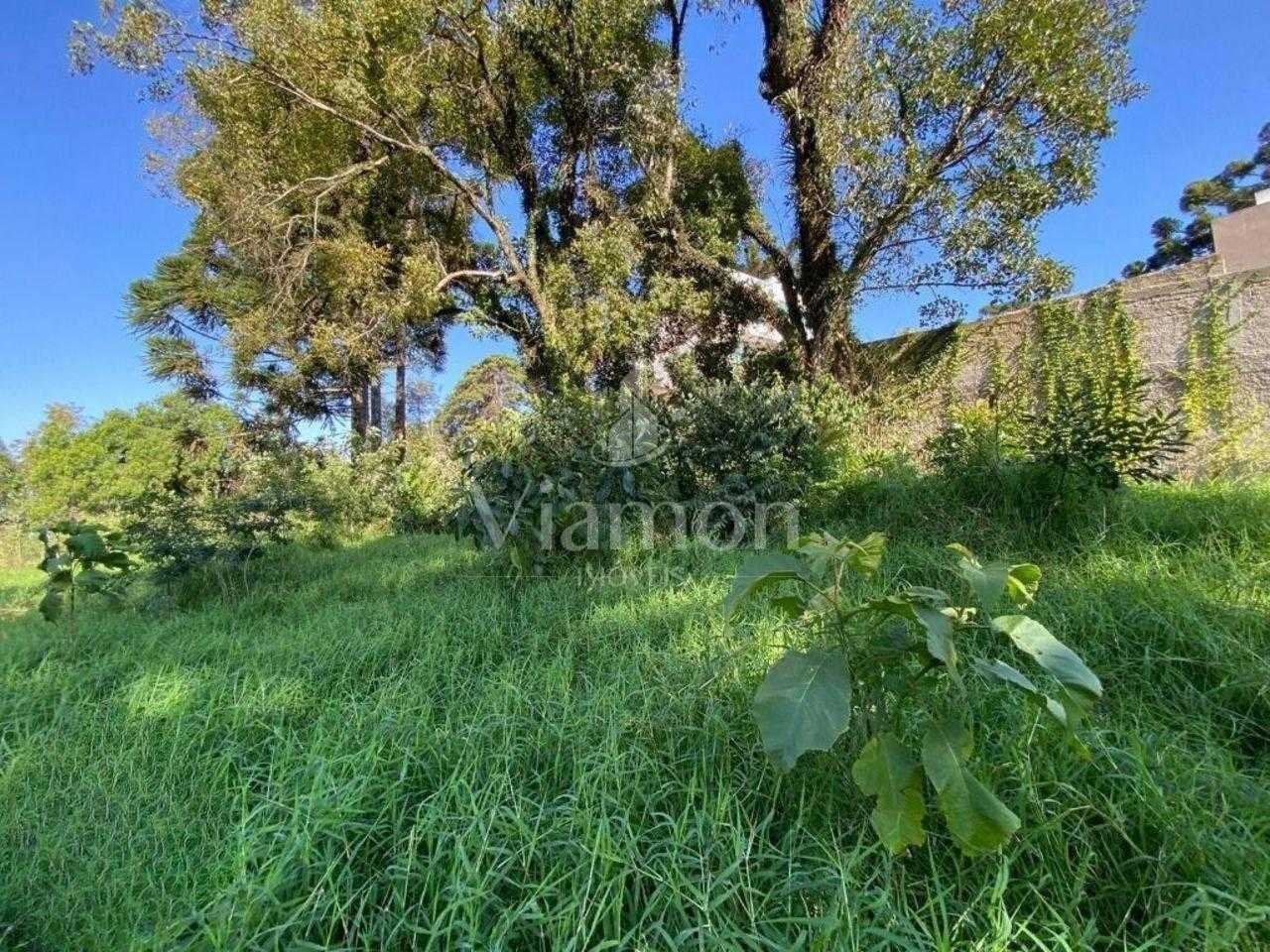 Excelente Terreno à venda,  ZR4, para construção de  prédio  B...