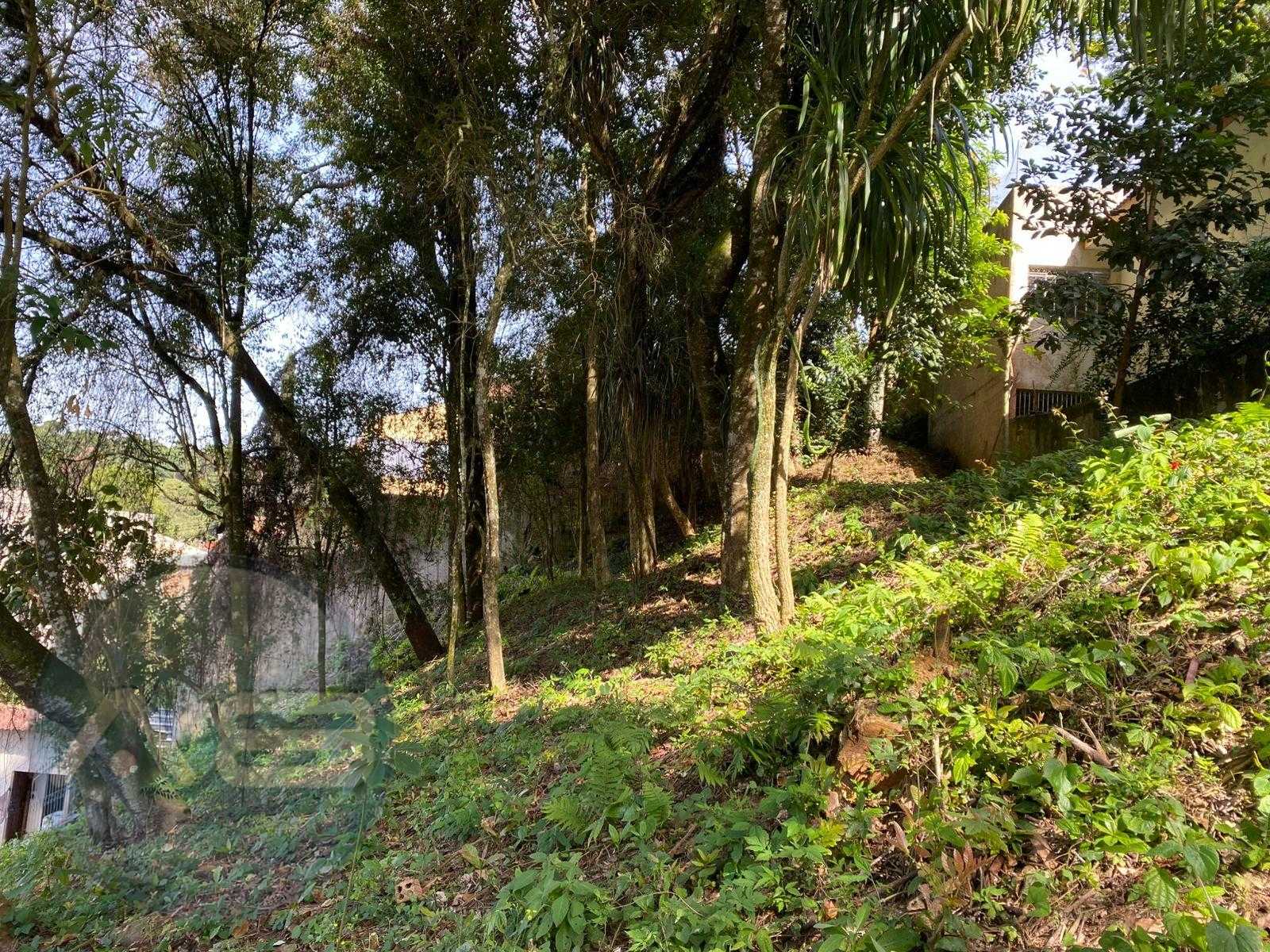 Terreno à venda, com 880 metros, no Abranches,  Em frente ao n...