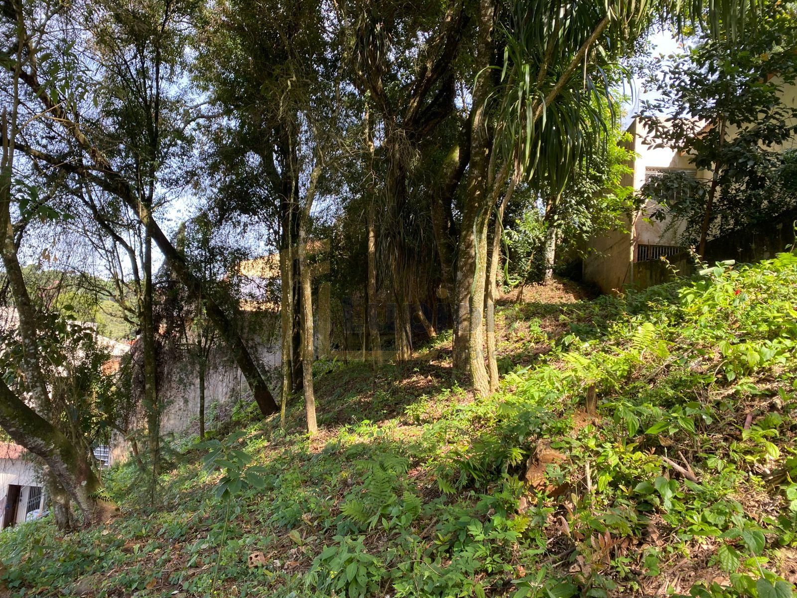 Terreno à venda, com 880 metros, no Abranches,  Em frente ao n...
