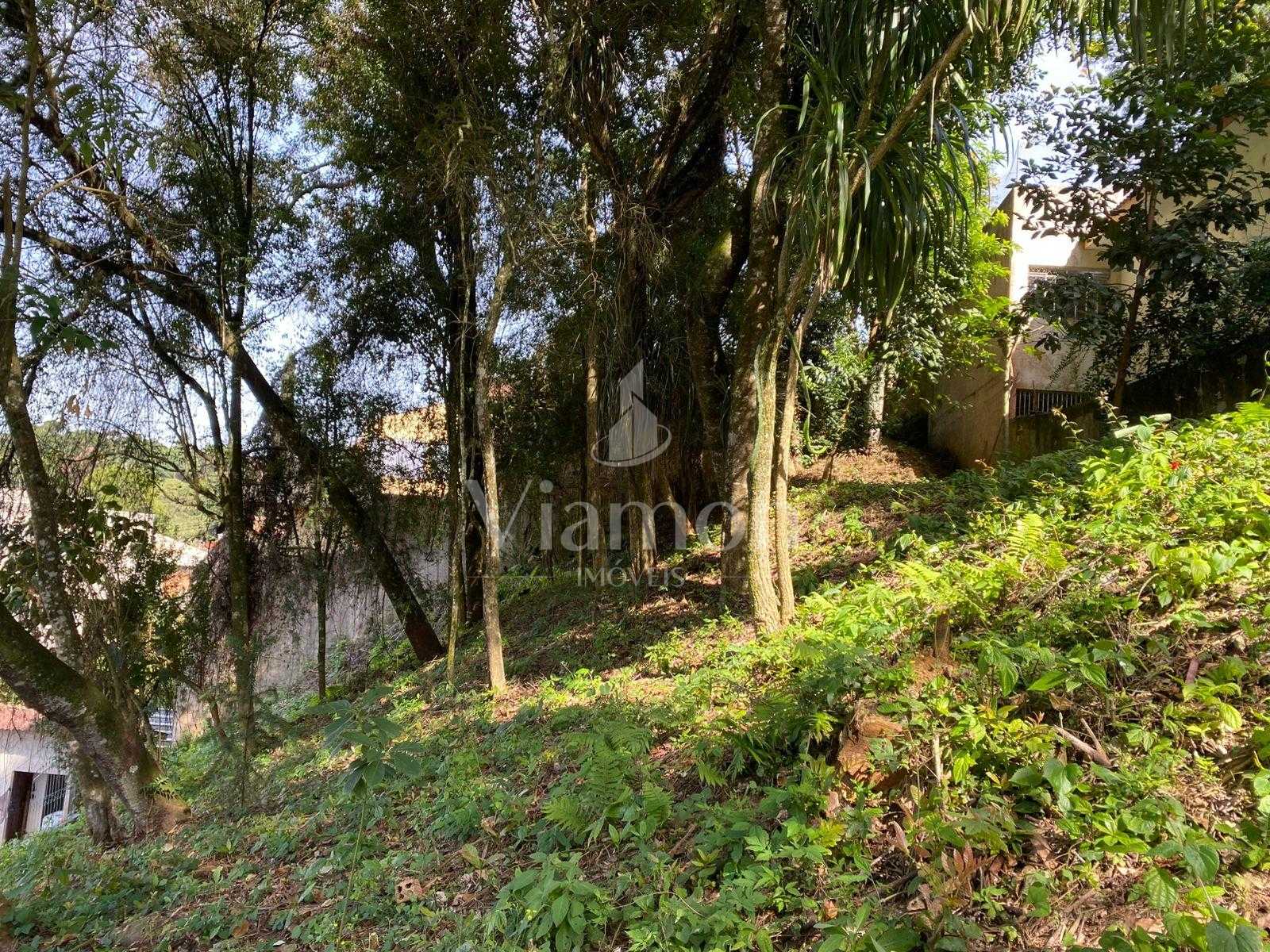 Terreno à venda, com 880 metros, no Abranches,  Em frente ao n...