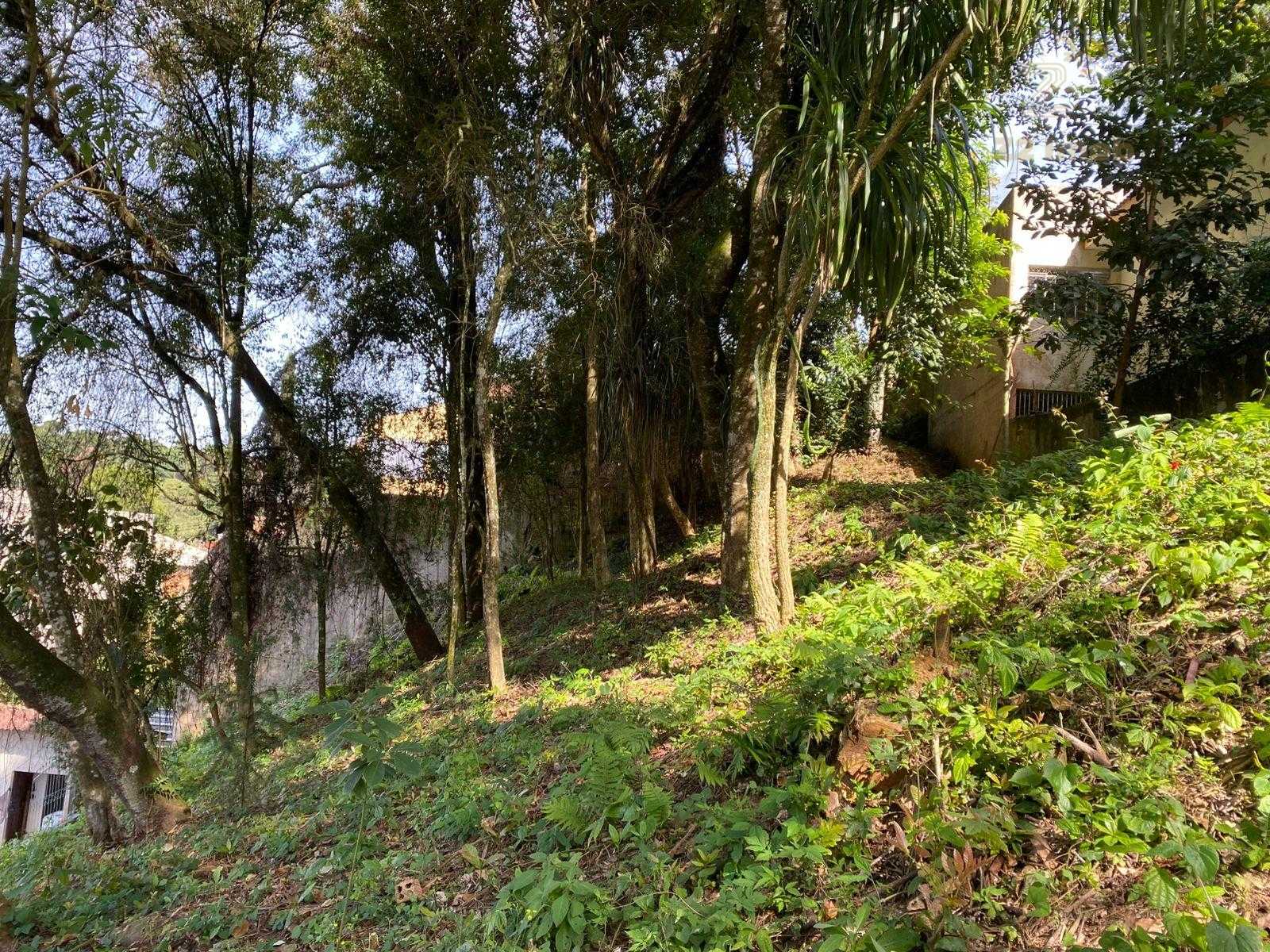 Terreno à venda, com 880 metros, no Abranches,  Em frente ao n...