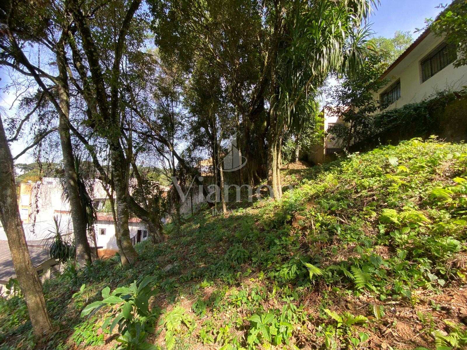 Terreno à venda, com 880 metros, no Abranches,  Em frente ao n...