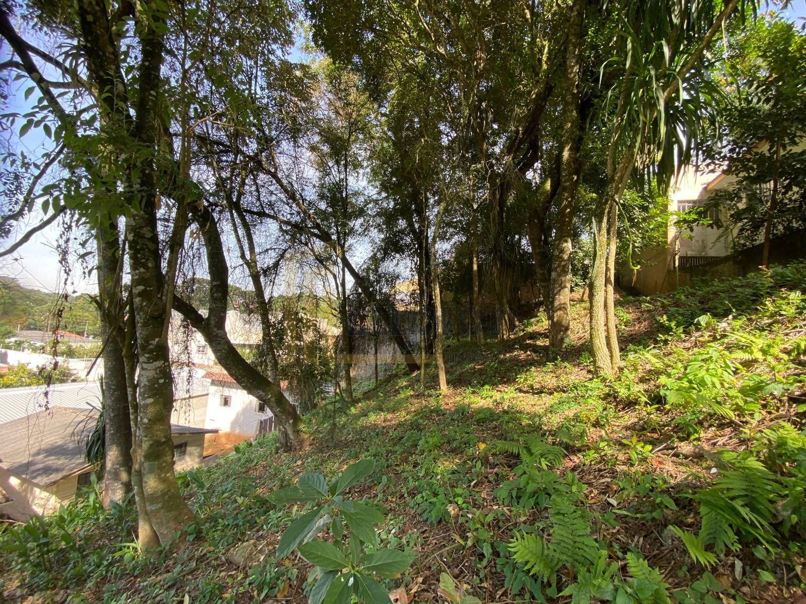 Terreno à venda, com 880 metros, no Abranches,  Em frente ao n...