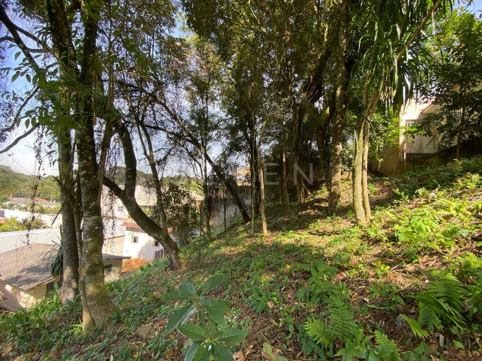 Terreno à venda, com 880 metros, no Abranches,  Em frente ao n...