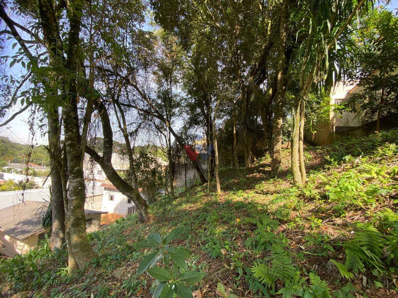 Terreno à venda, com 880 metros, no Abranches,  Em frente ao n...