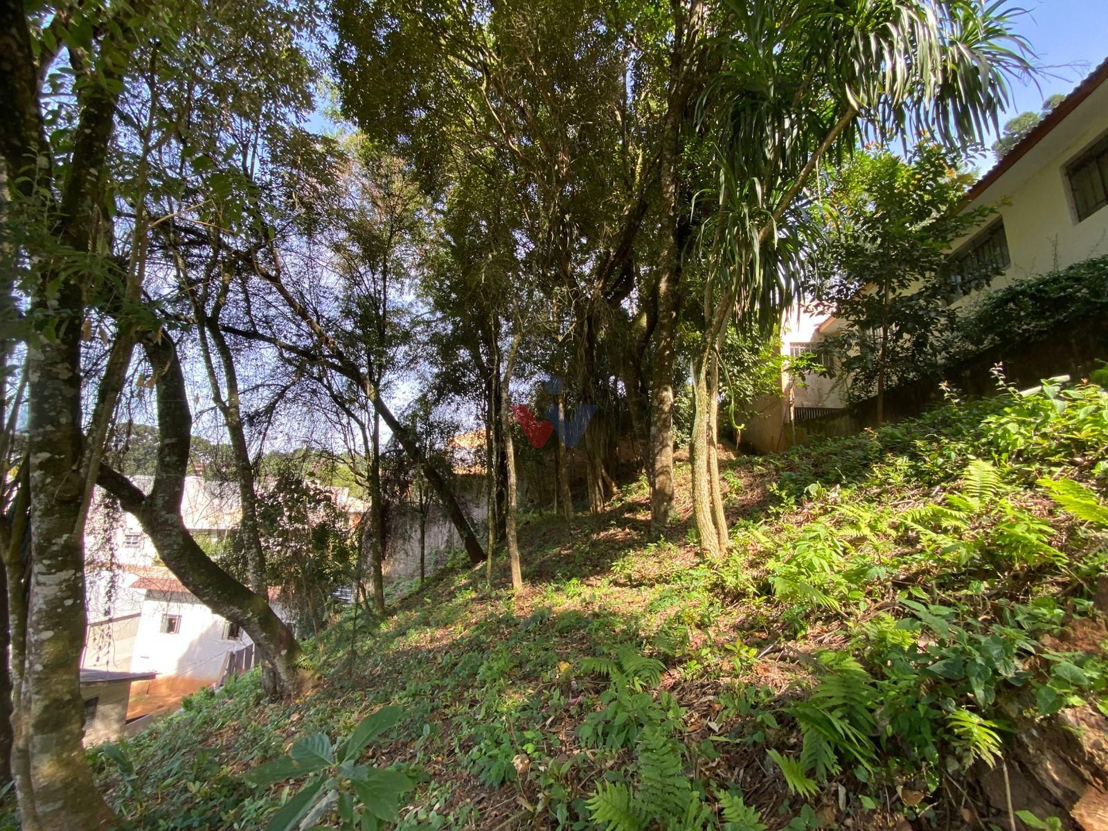 Terreno à venda, com 880 metros, no Abranches,  Em frente ao n...