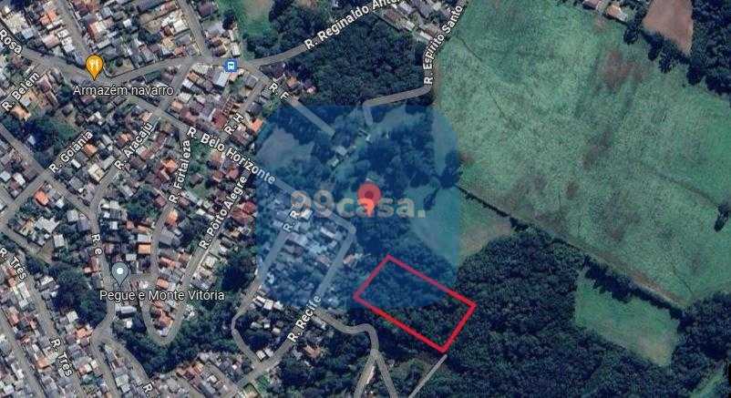 Chácara à venda, 22.338 m  Campo do Meio, Campo Largo - PR