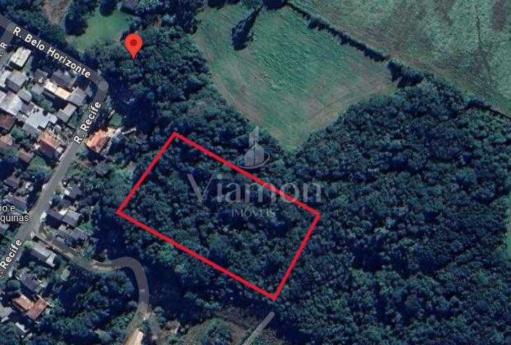 Chácara à venda, 22.338 m  Campo do Meio, Campo Largo - PR