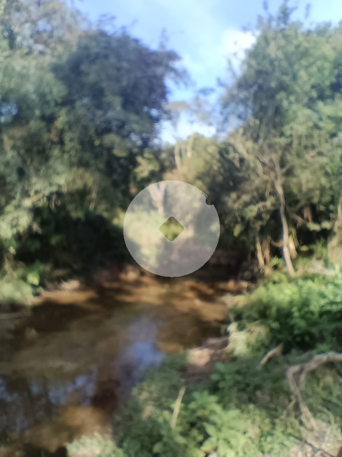 Terrenos rurais para chacara à venda, salgadinho, CAMPO LARGO ...