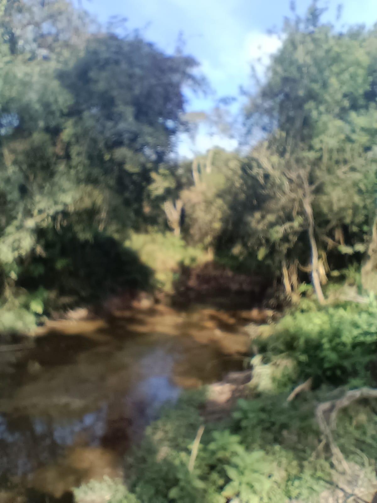 Terrenos rurais para chacara à venda, salgadinho, CAMPO LARGO ...