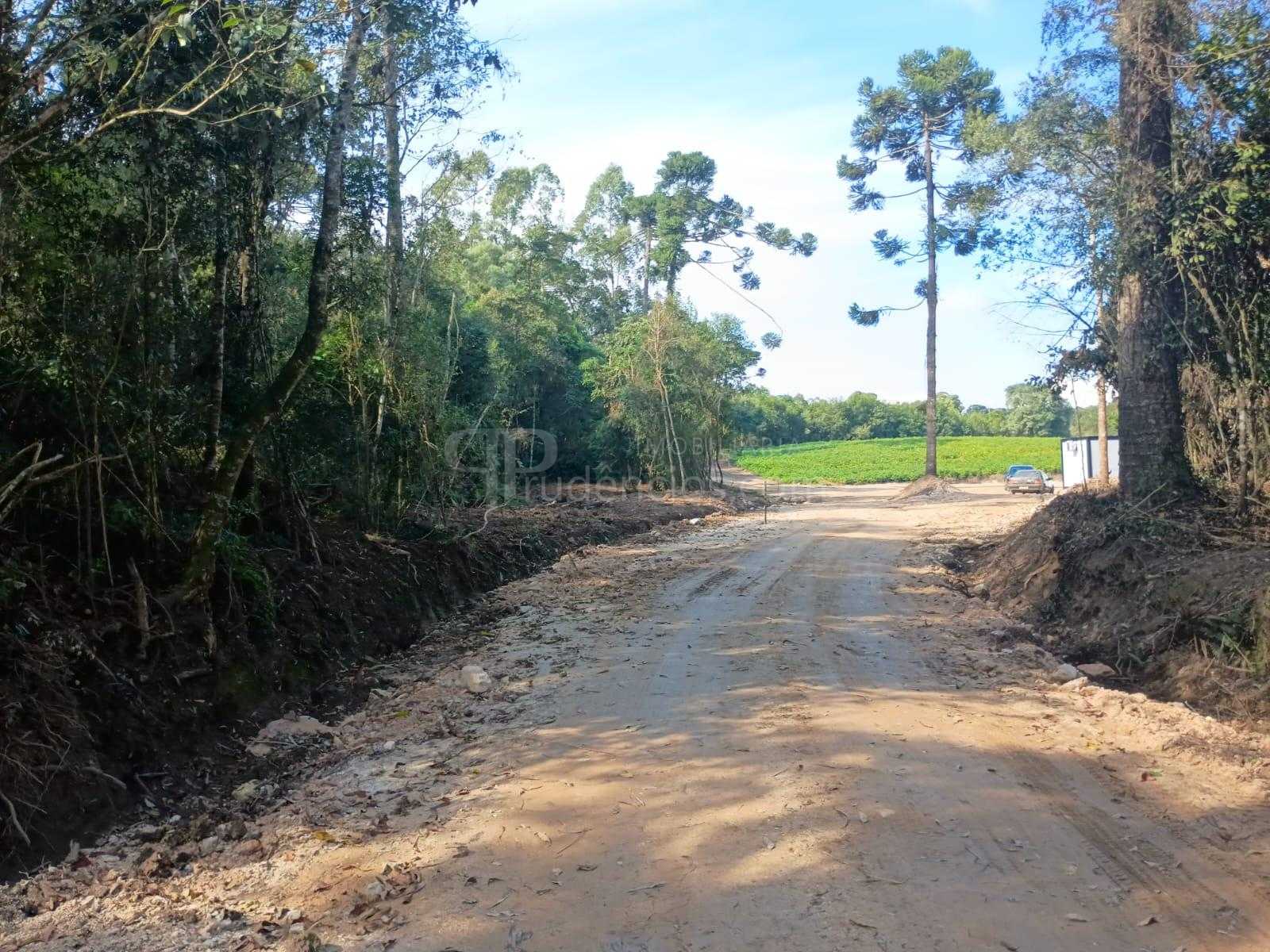 Terreno à venda, salgadinho, CAMPO LARGO - PR