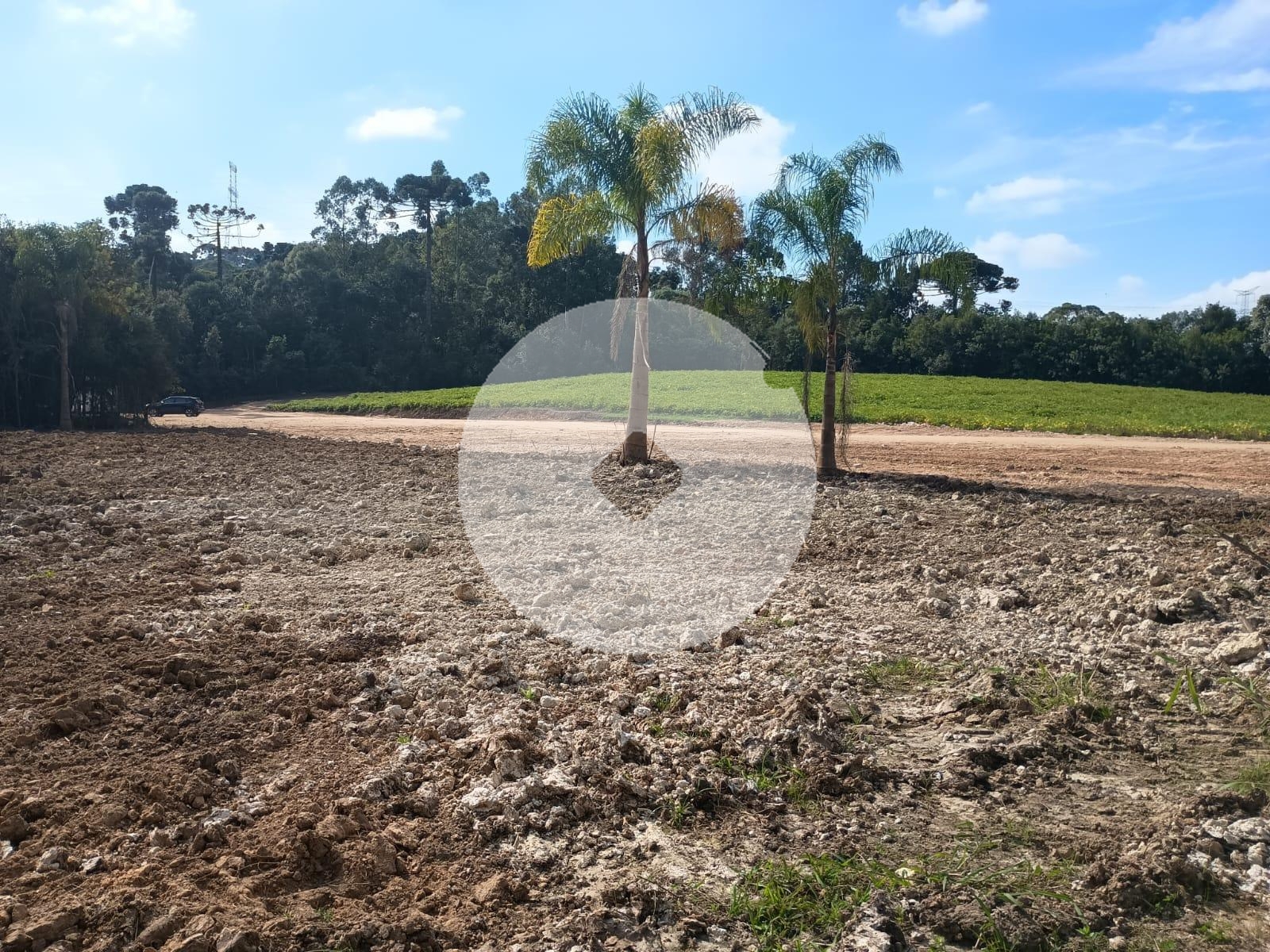 Terreno rural para chacara à venda, salgadinho, CAMPO LARGO - PR