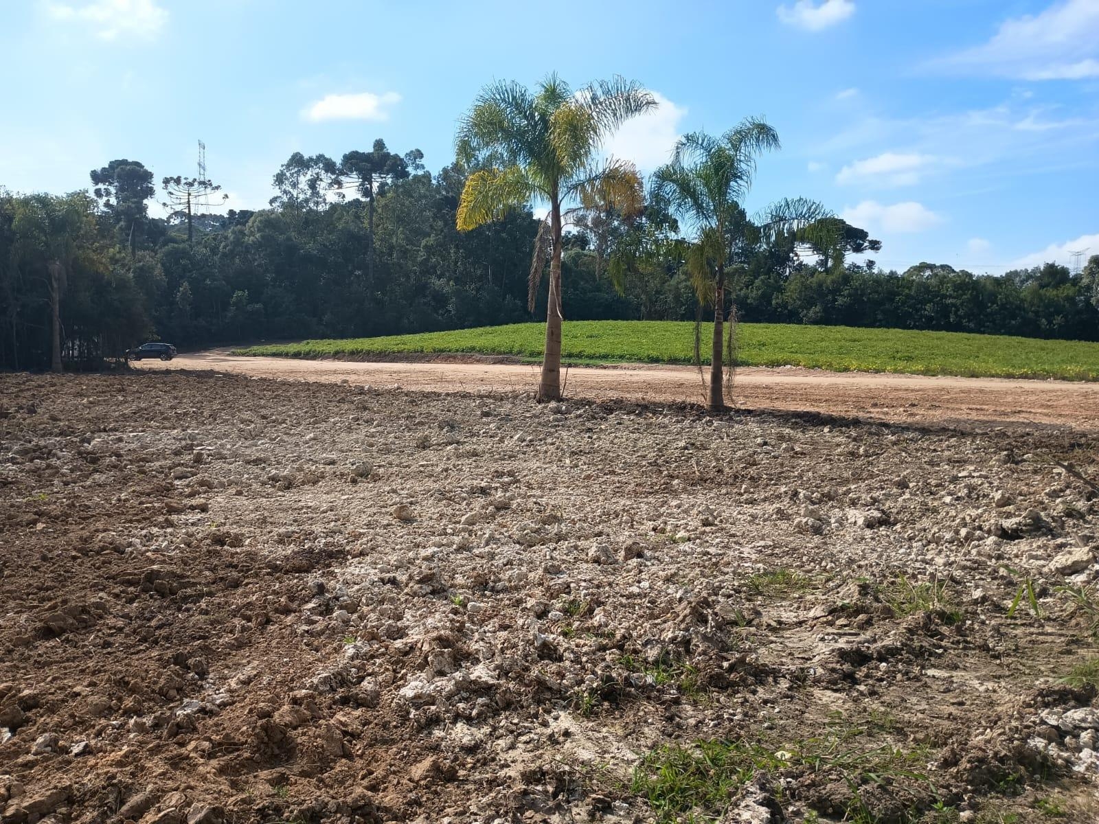 Terreno rural para chacara à venda, salgadinho, CAMPO LARGO - PR