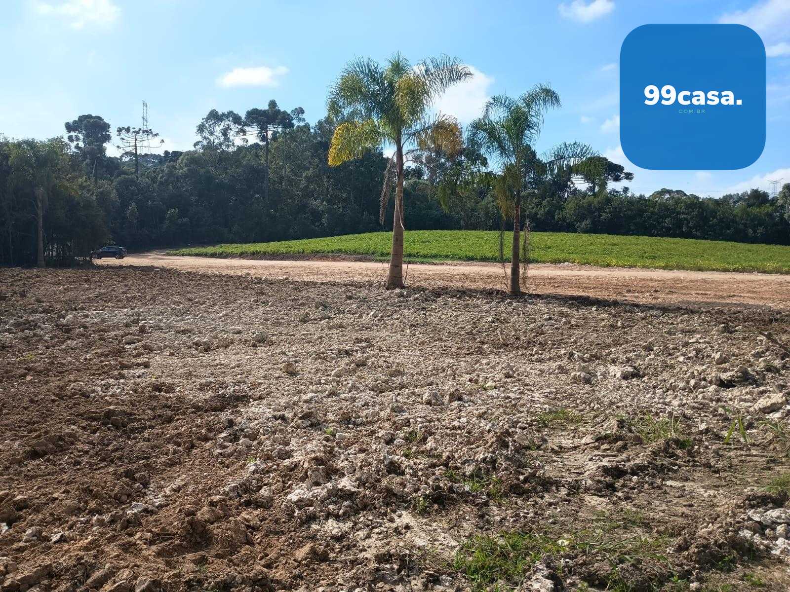 Terreno à venda, salgadinho, CAMPO LARGO - PR