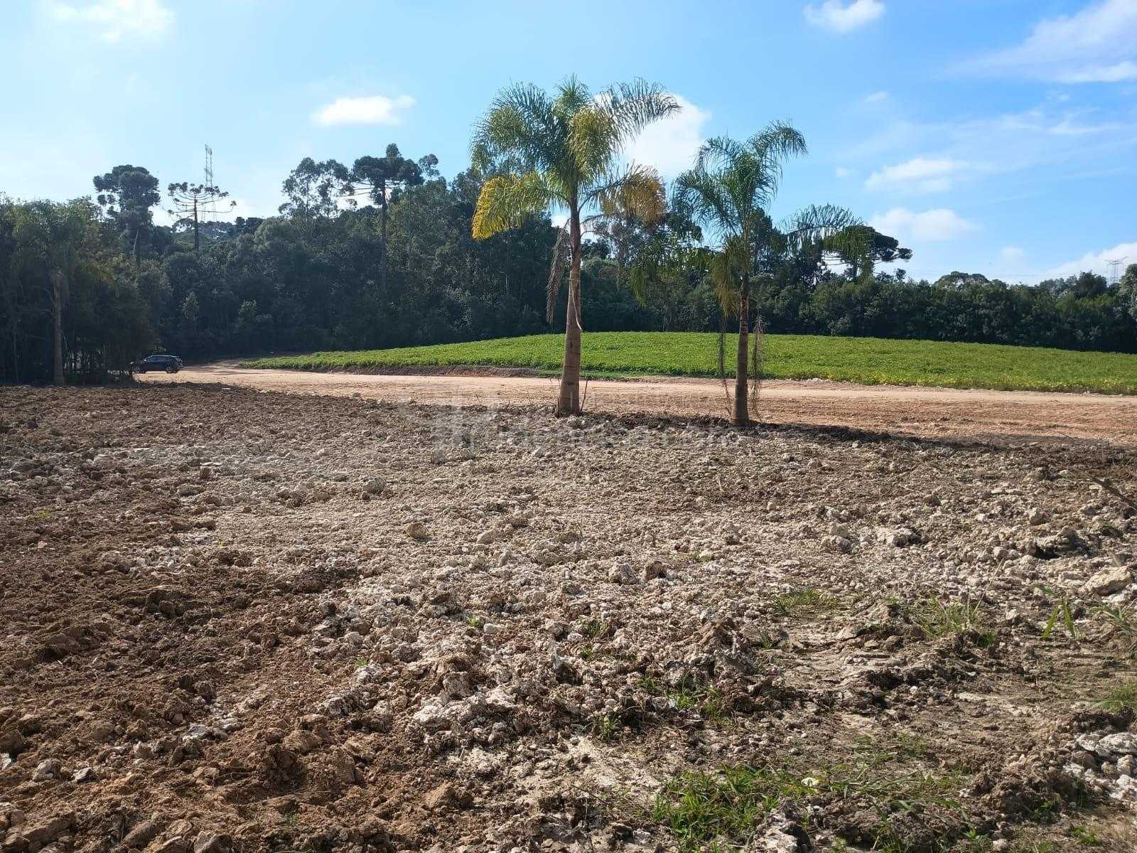 Terreno à venda, salgadinho, CAMPO LARGO - PR