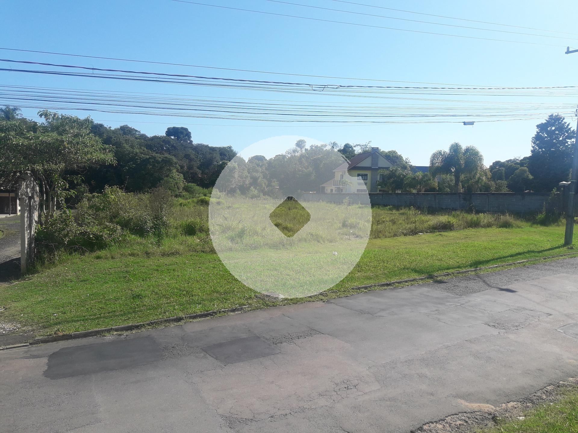 Excelente Área á venda - 16.500m   Araucária  Pr. Rua Francis...