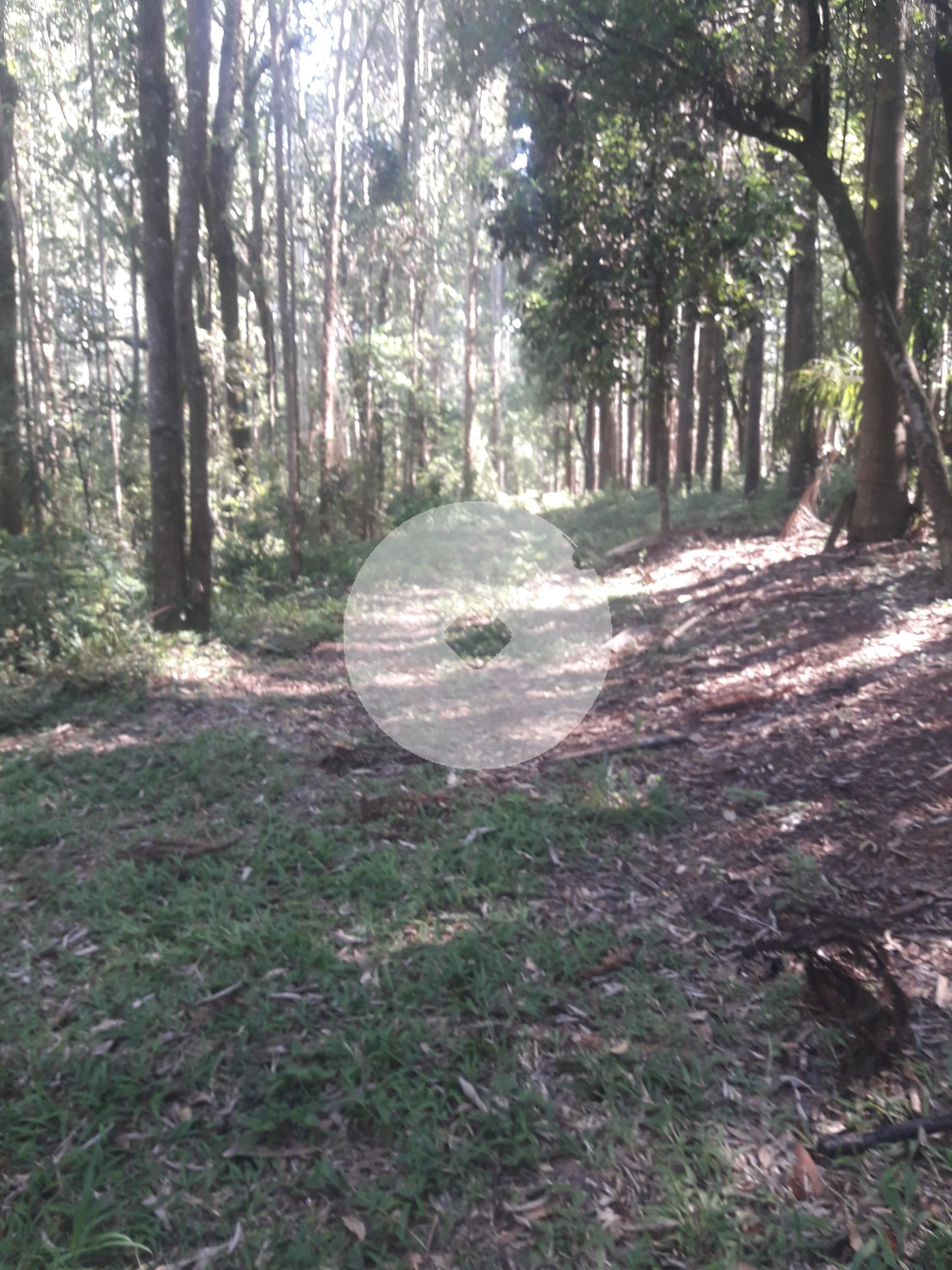 Excelente Área á venda - 16.500m   Araucária  Pr. Rua Francis...