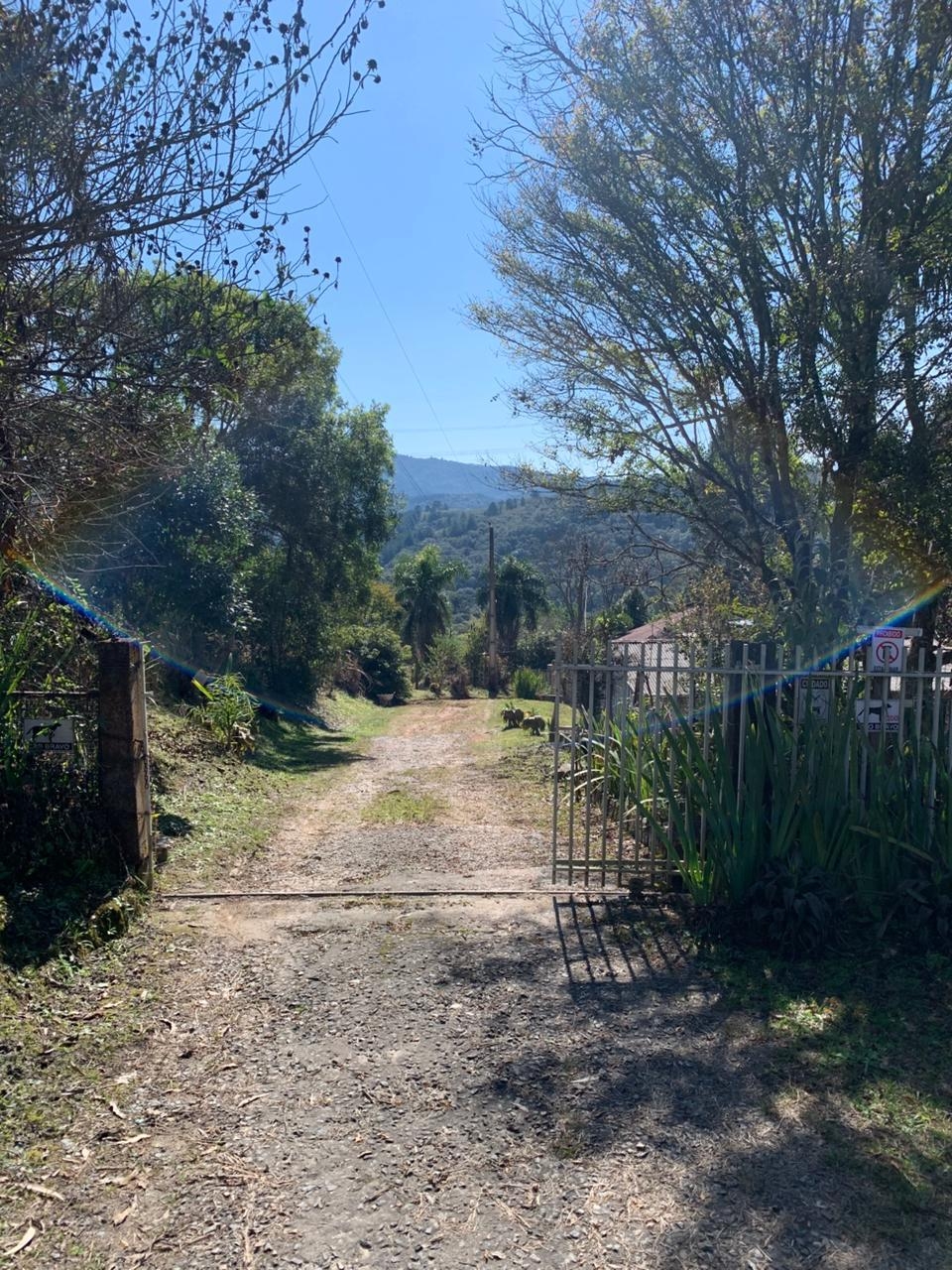 Chácara 4.600 m com casa e pomar à venda na Estrada Itambé C...