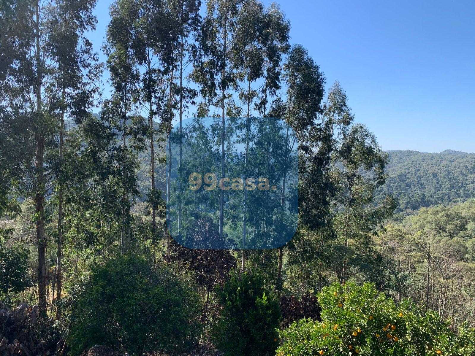 Chácara 4.600 m  com casa e pomar à venda na Estrada Itambé  ...