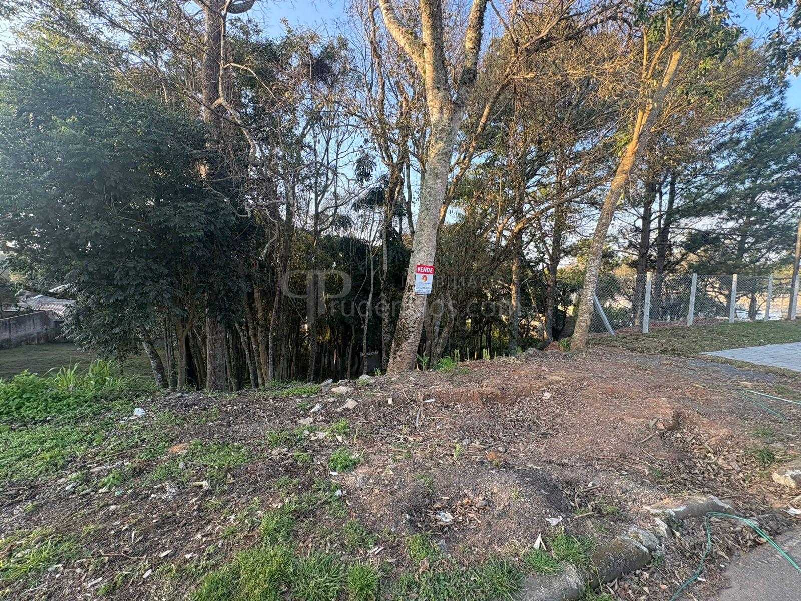 Terreno à venda, 630 m  por R  450.000,00 - Santo Inácio - Cur...