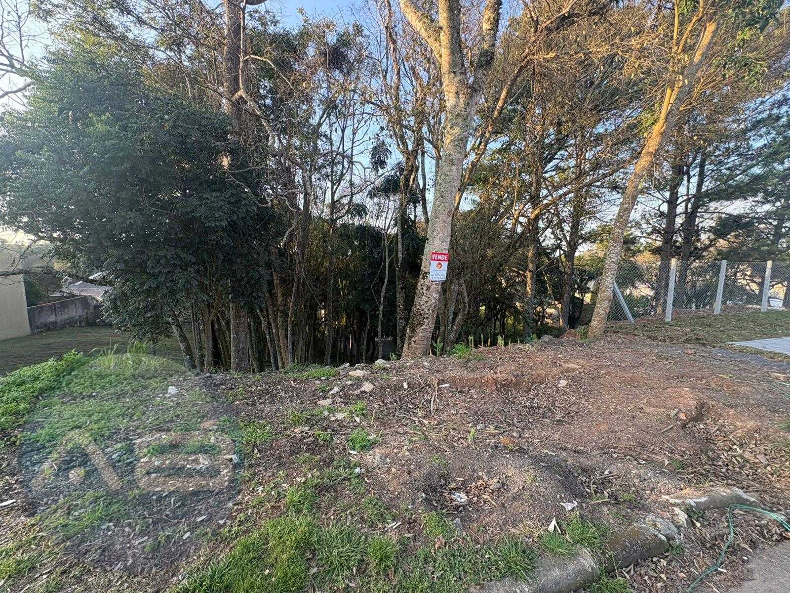 Terreno à venda, 630 m  por R  450.000,00 - Santo Inácio - Cur...