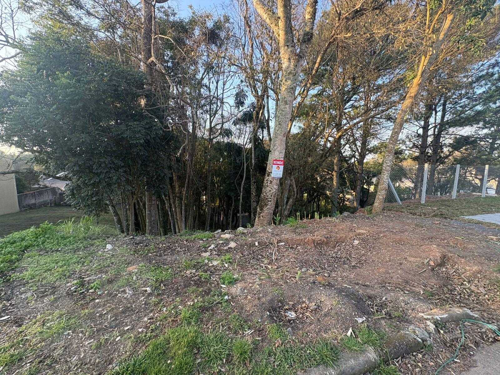 Terreno à venda, 630 m  por R  450.000,00 - Santo Inácio - Curitiba PR