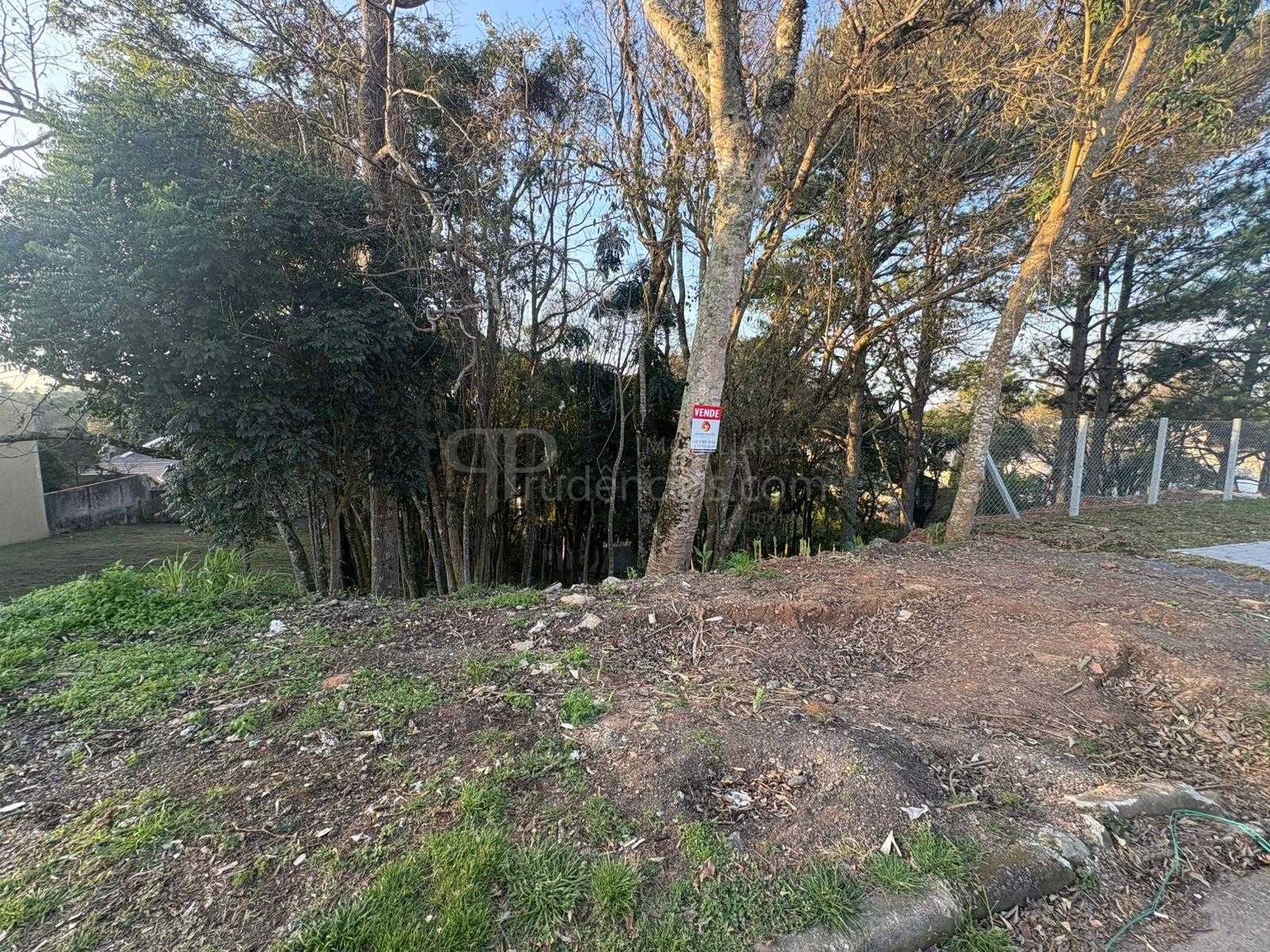 Terreno à venda, 630 m  por R  450.000,00 - Santo Inácio - Cur...
