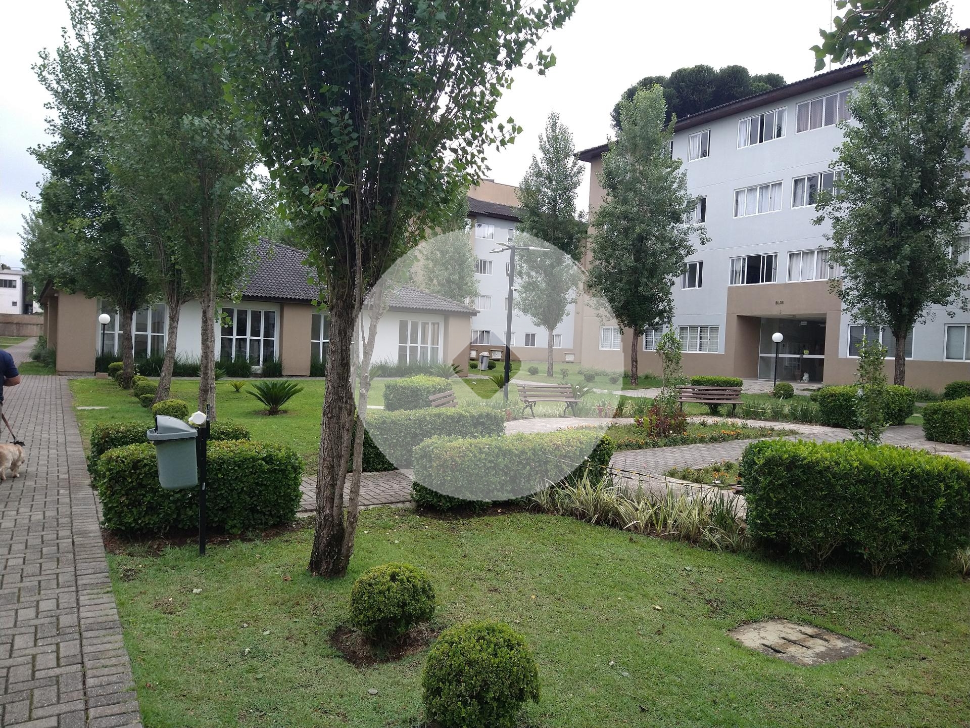 Garden c 3 quartos para locação, 78 m  por R  2500 mês  Campo ...