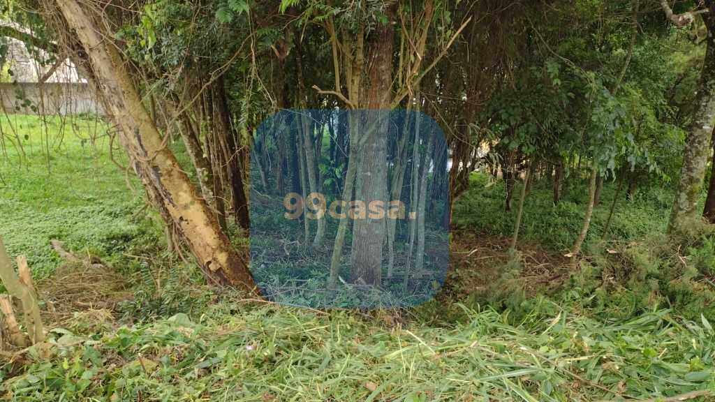 Terreno à venda, 630 m  por R  450.000,00 - Santo Inácio - Cur...