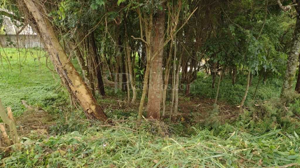 Terreno à venda, 630 m  por R  450.000,00 - Santo Inácio - Cur...