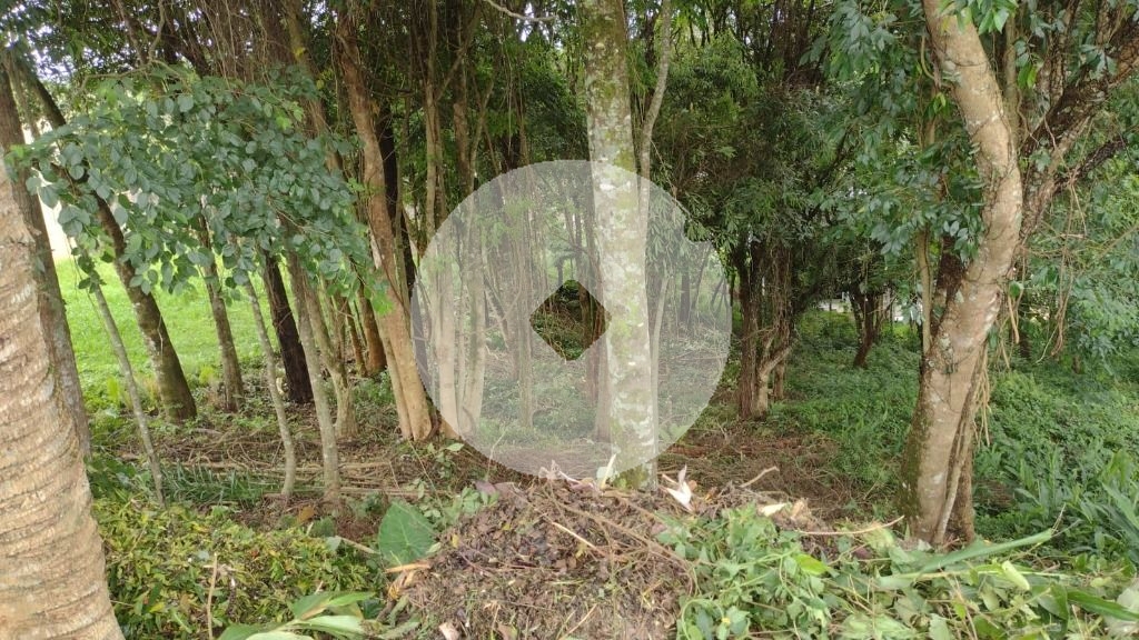 Terreno à venda, 630 m  por R  450.000,00 - Santo Inácio - Cur...