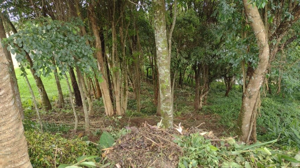 Terreno à venda, 630 m por R 450.000,00 - Santo Inácio - Cur...