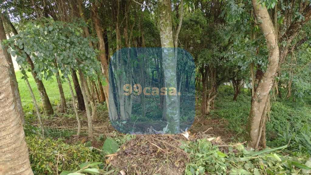 Terreno à venda, 630 m  por R  450.000,00 - Santo Inácio - Cur...