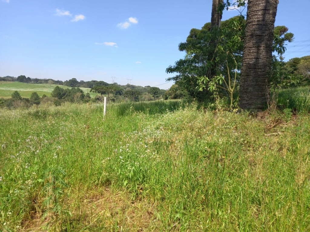 Chácara para formar à venda,40000.00 m , reboucas, CAMPO LARGO...