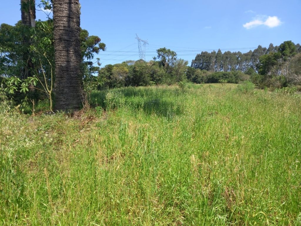 Chácara para formar à venda,40000.00 m , reboucas, CAMPO LARGO...
