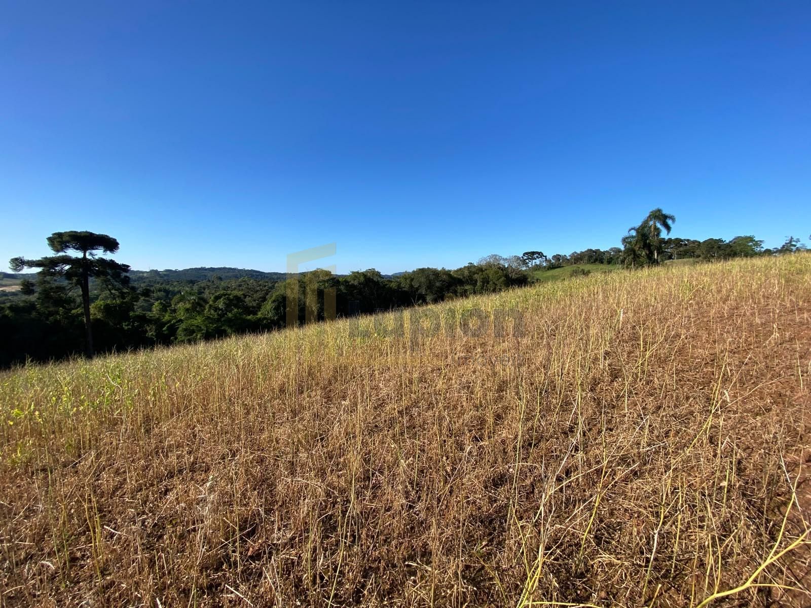 Chácara à venda em Campo Magro, Natureza, privacidade e uma vi...