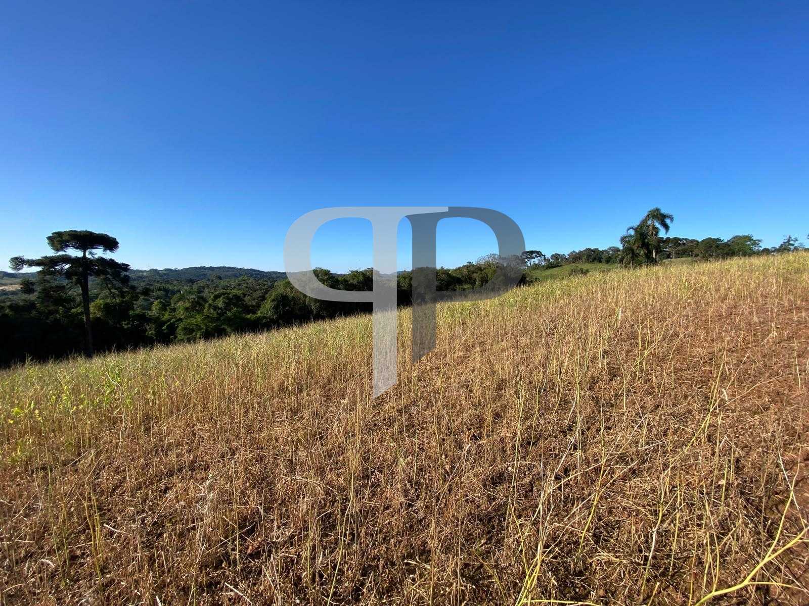 Chácara à venda em Campo Magro, Natureza, privacidade e uma vi...