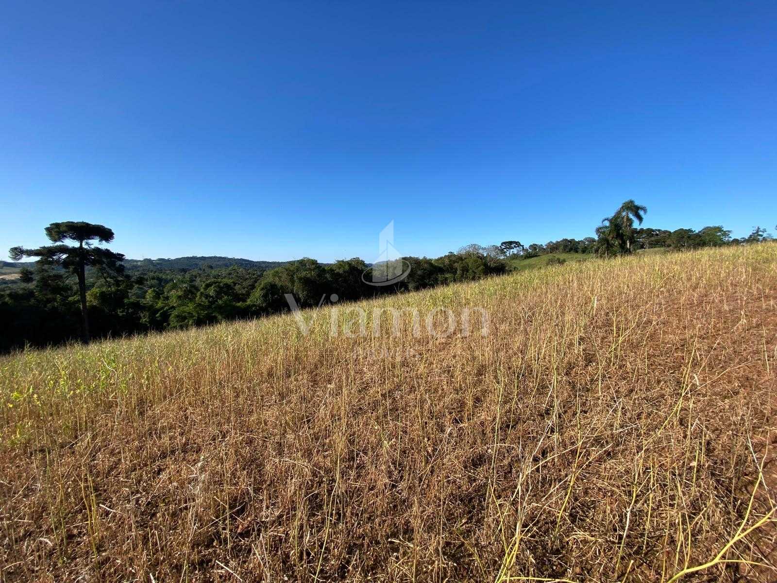 Chácara à venda em Campo Magro, Natureza, privacidade e uma vi...