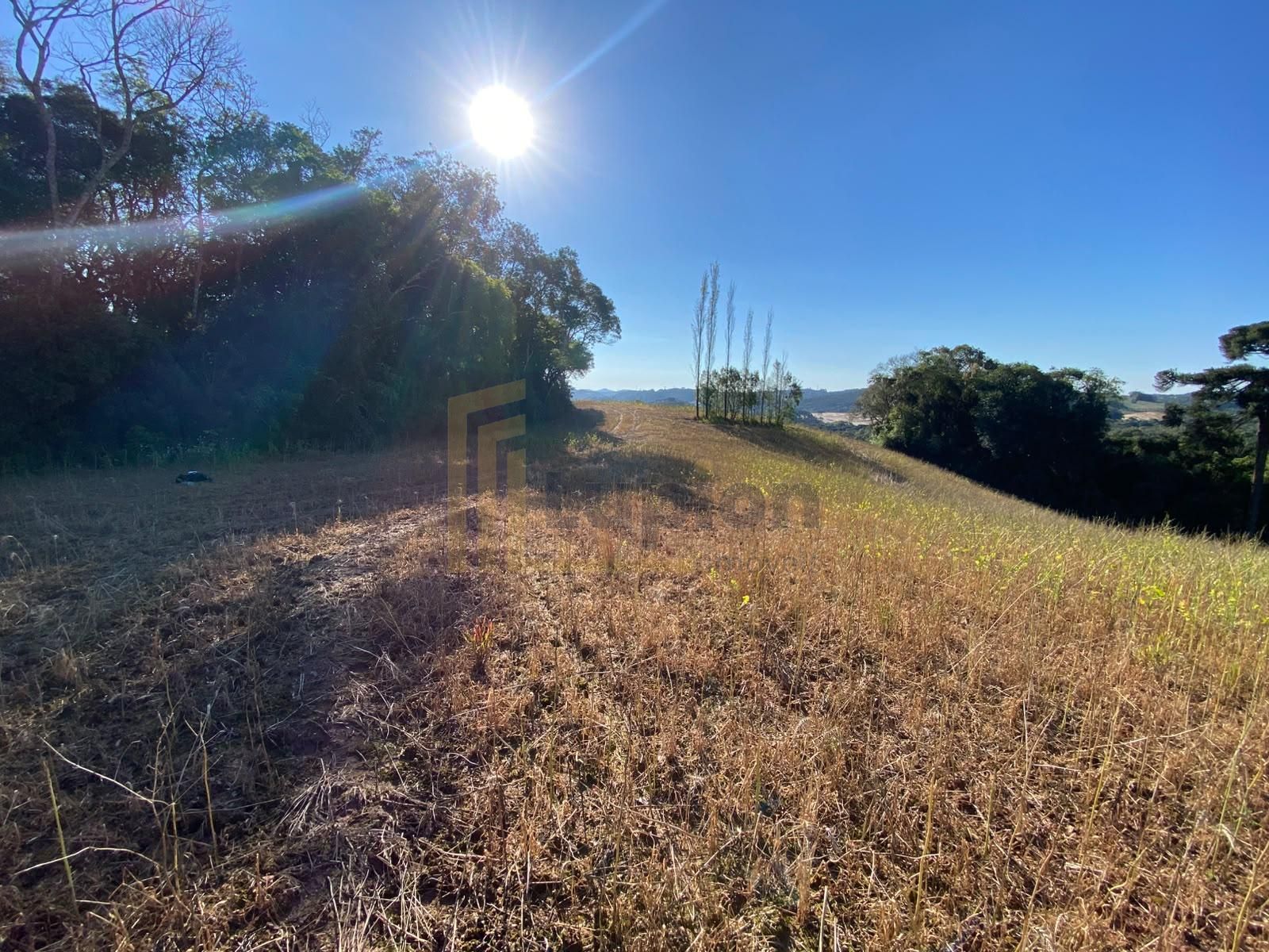 Chácara à venda em Campo Magro, Natureza, privacidade e uma vi...