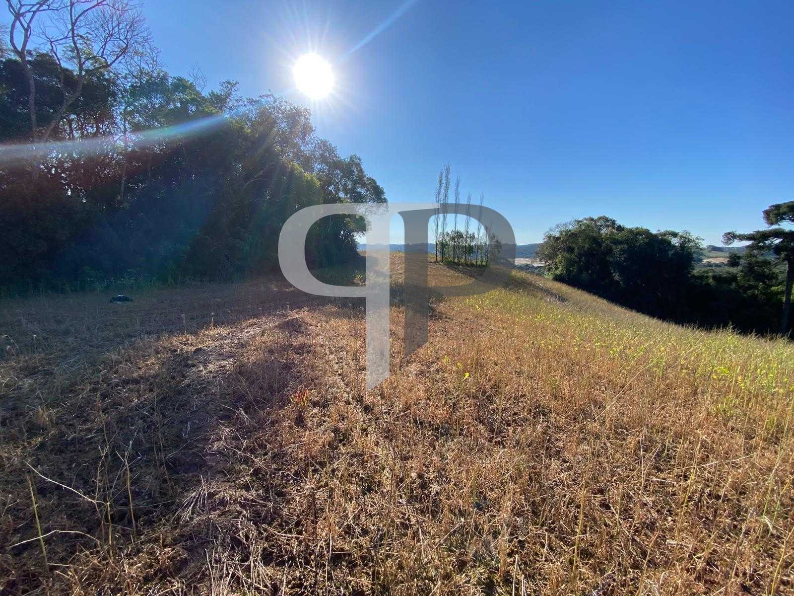 Chácara à venda em Campo Magro, Natureza, privacidade e uma vi...