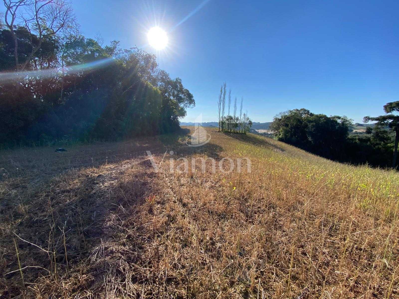 Chácara à venda em Campo Magro, Natureza, privacidade e uma vi...