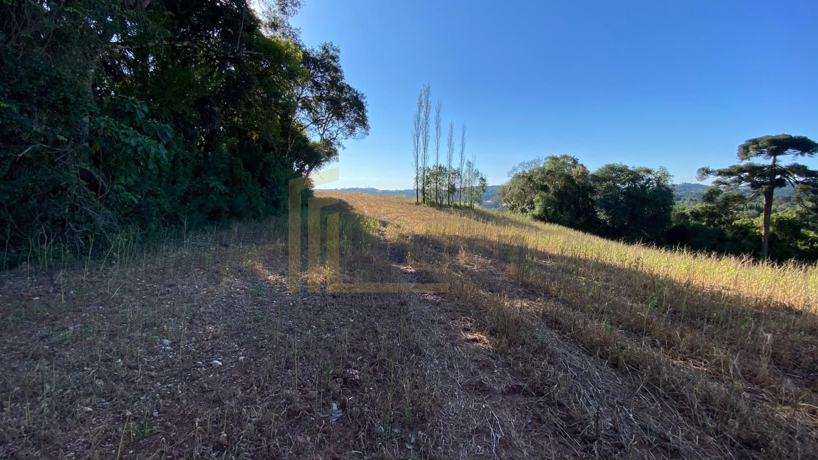 Chácara à venda em Campo Magro, Natureza, privacidade e uma vi...