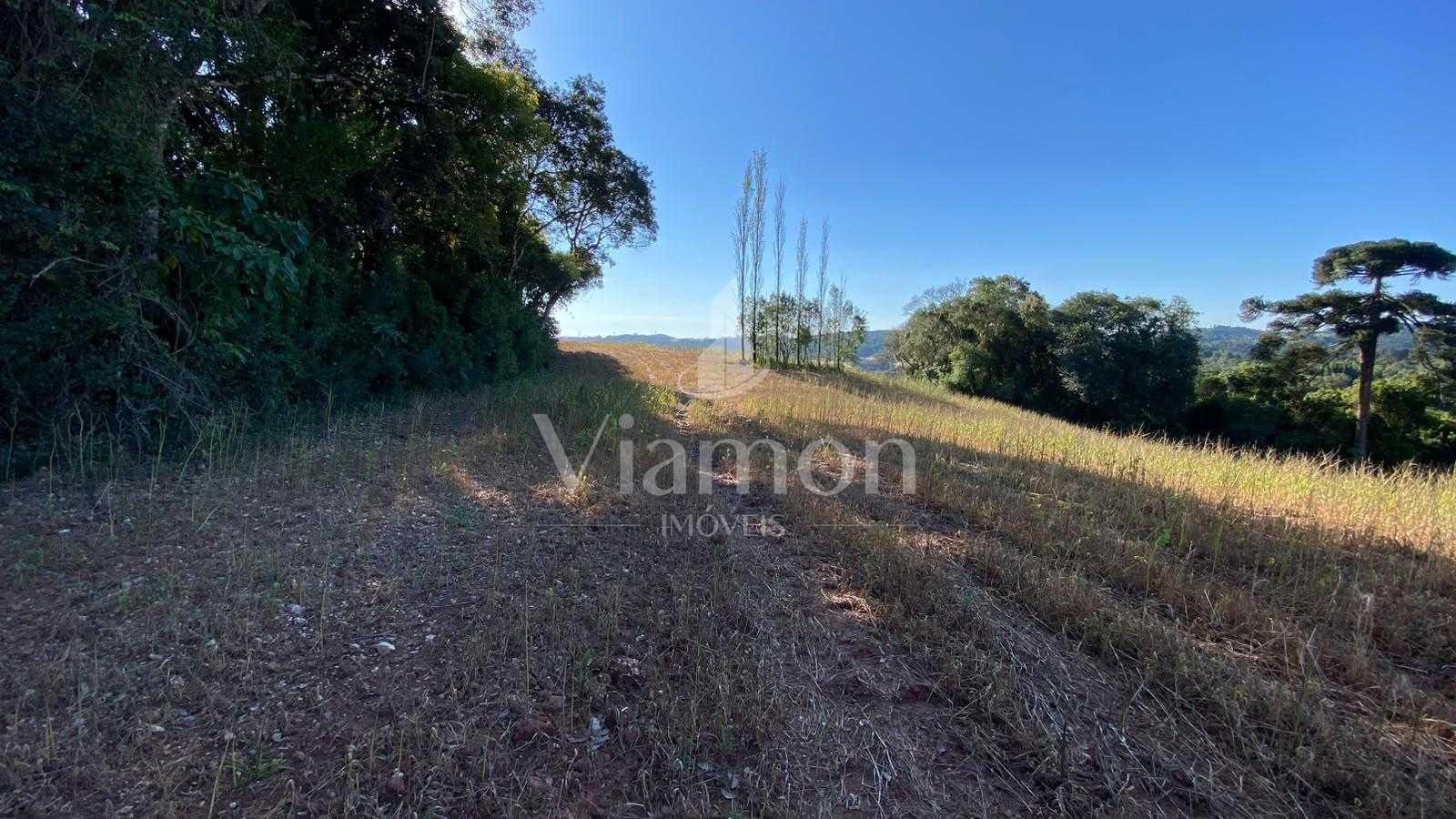 Chácara à venda em Campo Magro, Natureza, privacidade e uma vi...