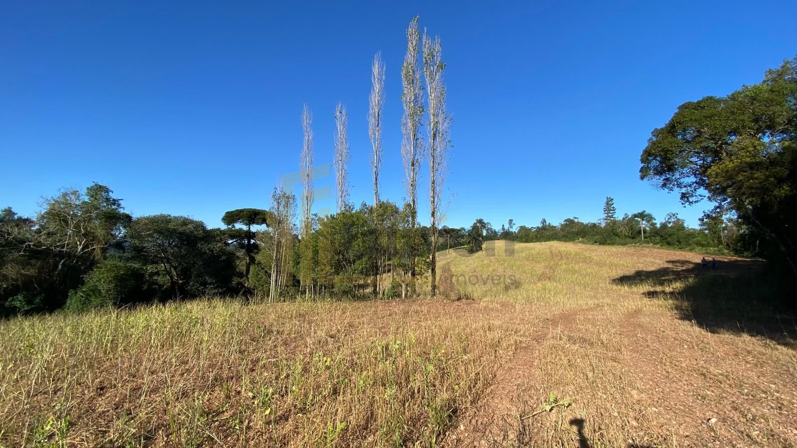 Chácara à venda em Campo Magro, Natureza, privacidade e uma vi...