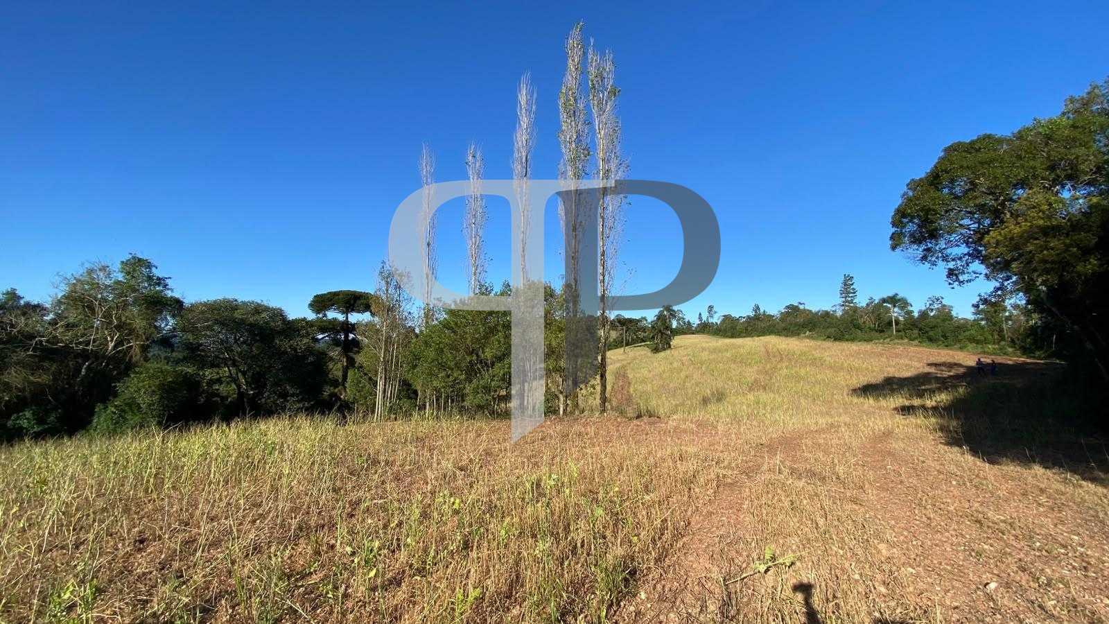 Chácara à venda em Campo Magro, Natureza, privacidade e uma vi...