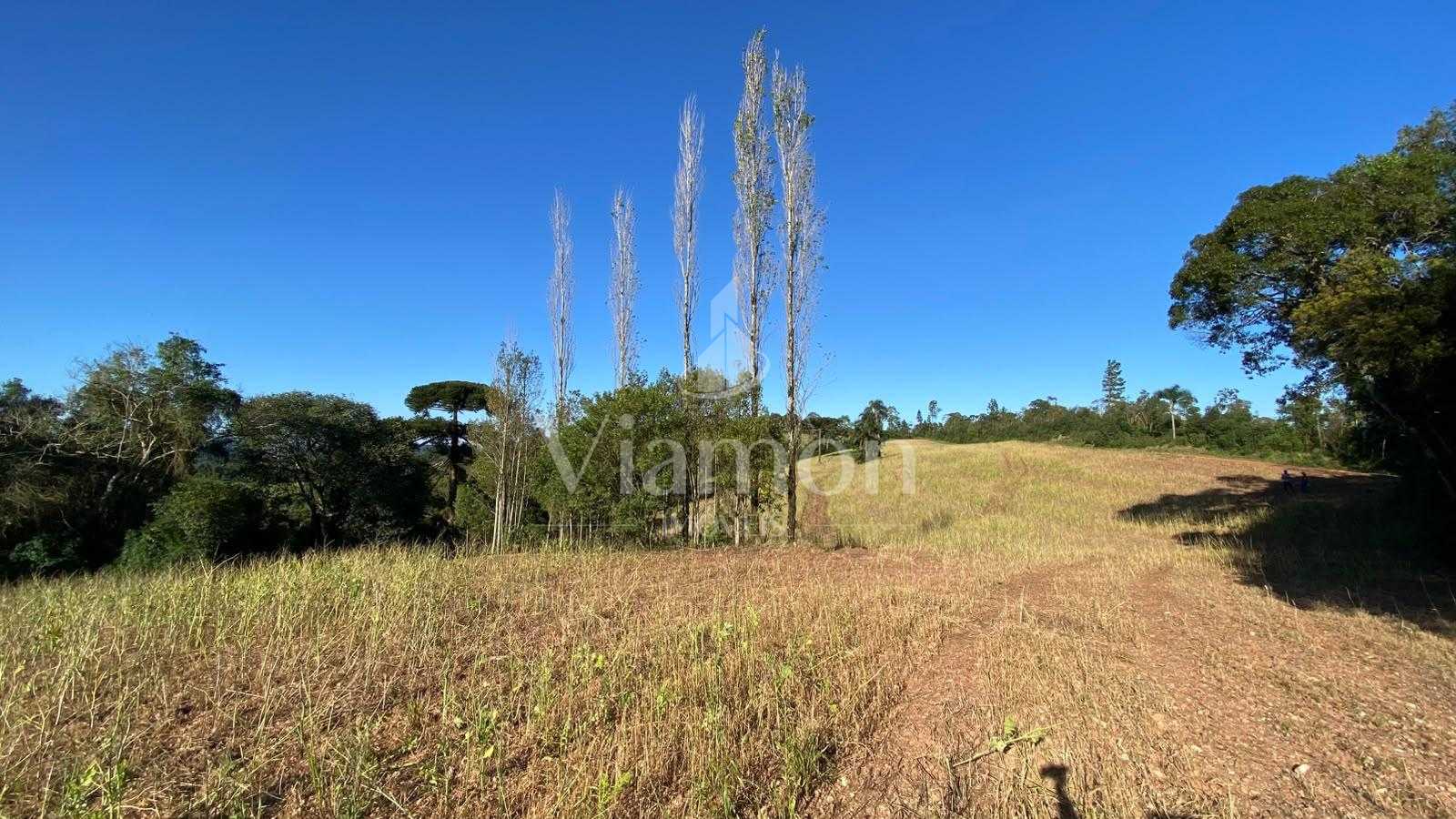 Chácara à venda em Campo Magro, Natureza, privacidade e uma vi...
