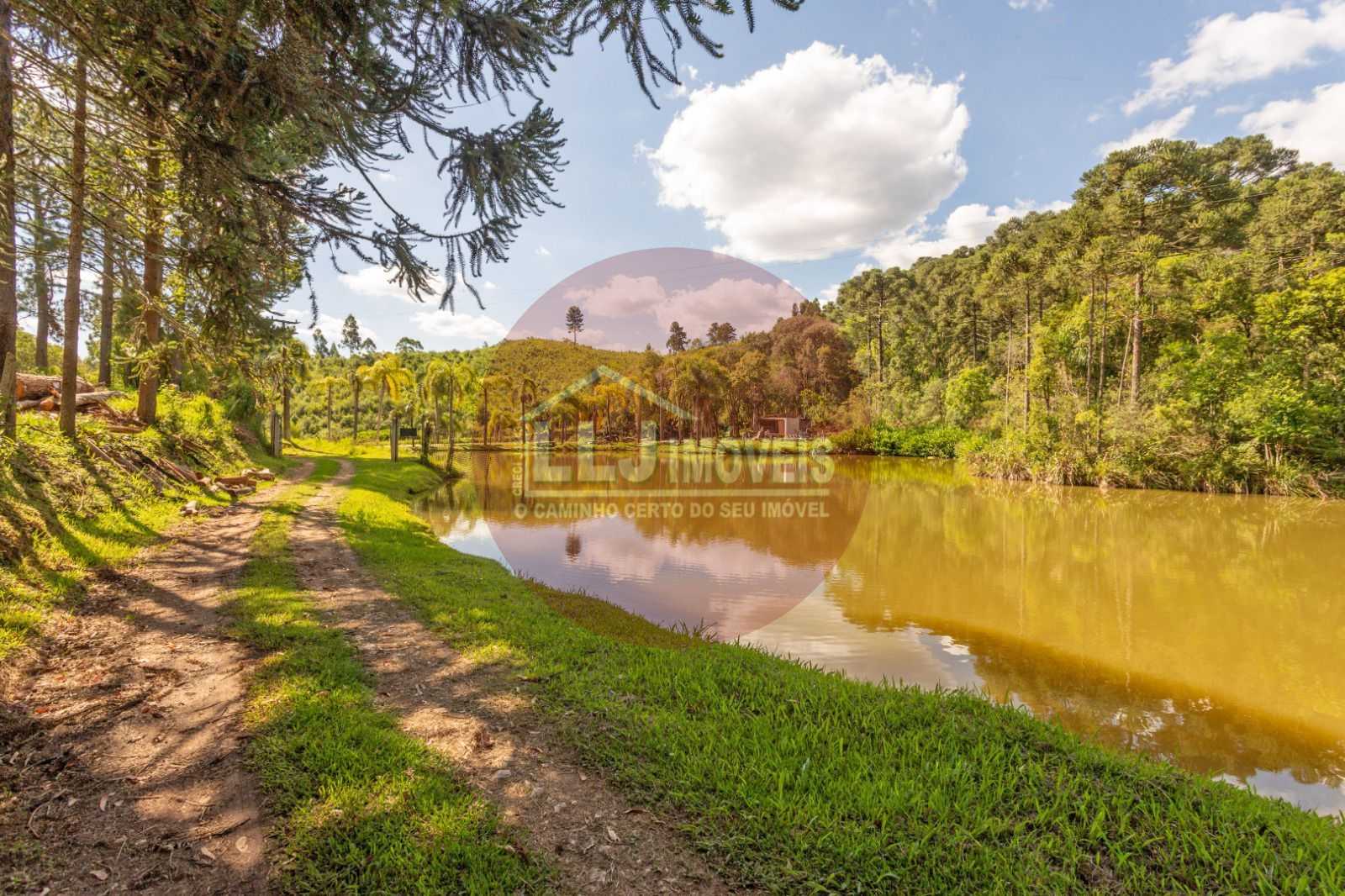 Chácara à venda, 110456 m² por R$ 730.000,00 - Campo Magro - Campo Magro/PR