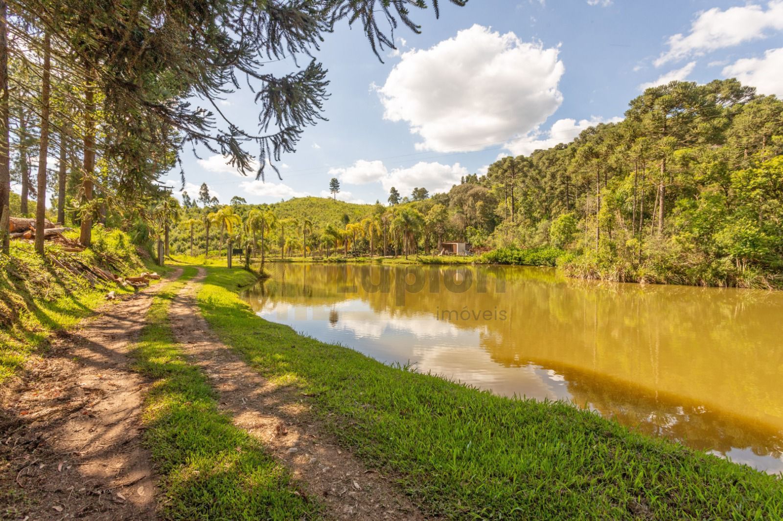 Chácara à venda, 110456 m² por R$ 730.000,00 - Campo Magro - C...